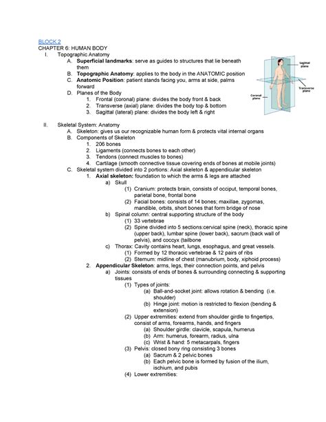 Breaking down anatomy physiology study guide. - Canon powershot s110 manual en espaol.
