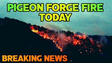 Breaking news pigeon forge tn. .  <a href=https://rezhenergohab.ru/xpii15/...