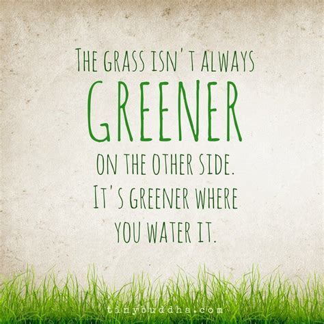 Breaking the Myth: Grass Isn't Always Greener