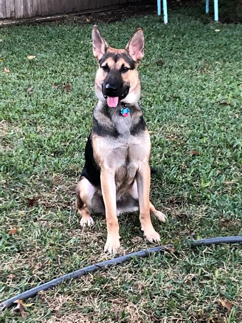 Breannastar04 Onlyfans Leak 💋 [HD]