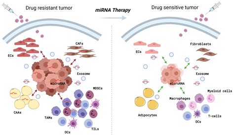 Breast Cancer Drug Resistance: Overcoming the Challenge by