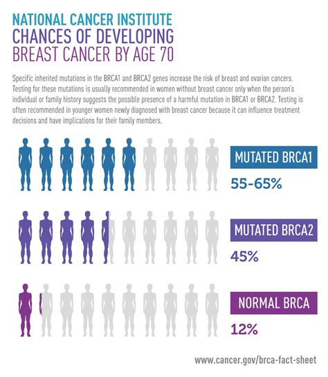 Breast Cancer Risk in Young Women in the National Breast Screening ...