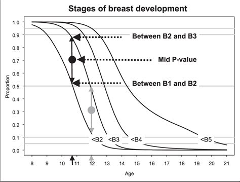 Breast budding.  Breast development happens in certain stages during a Normal Breast Deve...