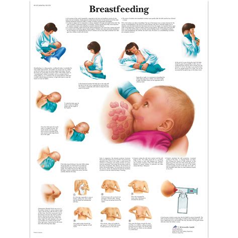 Breast feeding a guide for midwives. - The ragamuffin gospel good news for the bedraggled beat up.