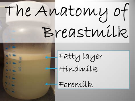 th?q=Breast milk separation.