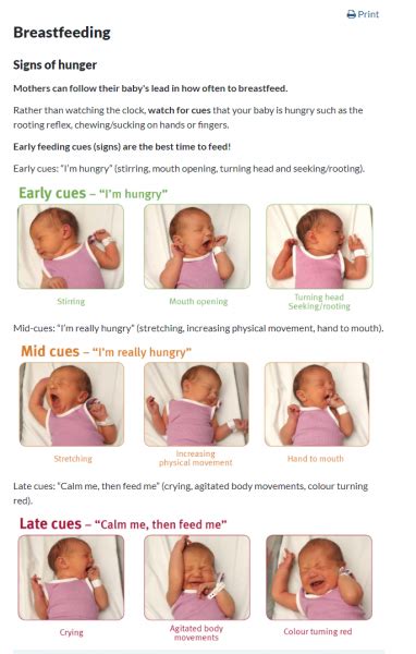 Breastfeeding Hunger Cues In Pictures KidsHealth NZ