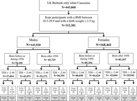 Breastfeeding and risk of asthma, hay fever and eczema