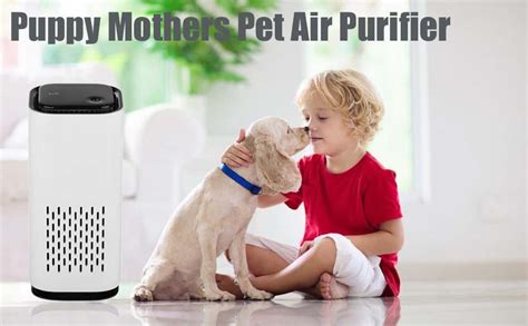 Breath Easy: The Benefits of Pet Air Purifiers for New Puppy Mothers