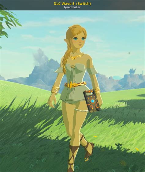 A new mod manager for The Legend of Zelda: Breath of the Wild. Succe