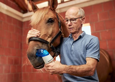 Breathing Treatment for Equine Asthma - Aservo …