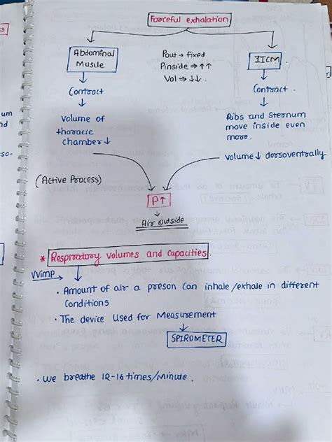 Breathing and exchange of gases Lecture 04 by Samapti mam for Neet Boards