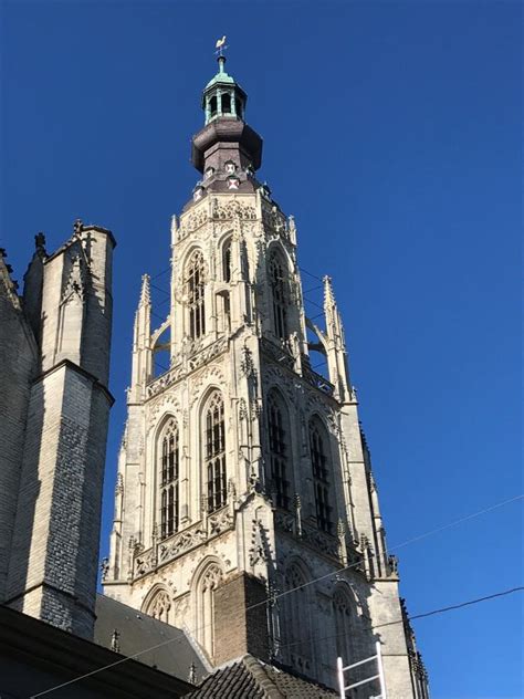 Breda en de Grote Kerk Argusvlinder