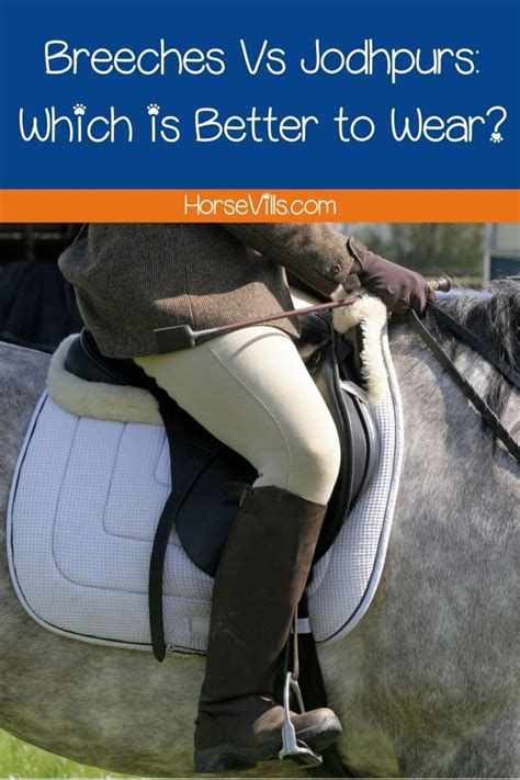 Breeches Vs Jodhpurs: Which is Better to Wear? (Riding …