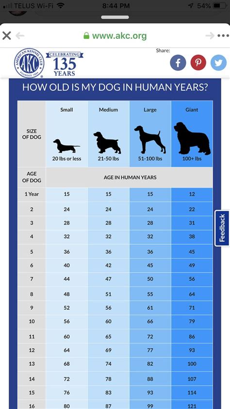 Breed Weight Chart – American Kennel Club