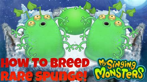 Of these, Spunge+Noggin is the best combination, as it has the lowest average breeding times in case of breeding failure. There is also a small chance of producing a Shellbeat or Rare Shellbeat from a failed breeding attempt, using a Shellbeat and a Double-Element Monster, though this strategy is not recommended for breeding Rare Shellbeat.. 