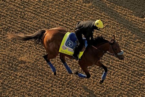 Breeders’ Cup contender Practical Move dies after a morning gallop at Santa Anita
