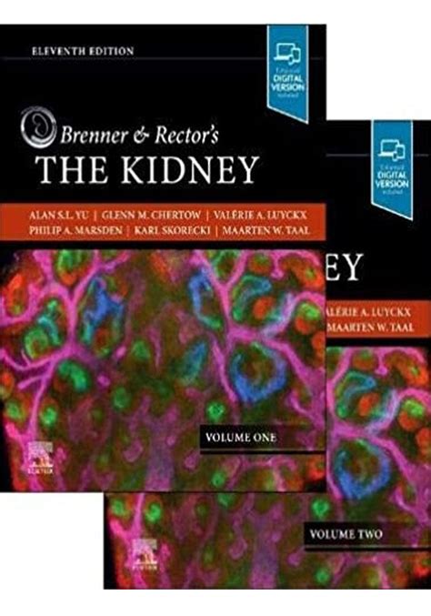 Brenner and rectors the kidney 2 vol set. - A sentença no processo do trabalho.