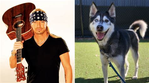 Bret Michaels, the rocker, adopts Bret Michaels, the hero dog