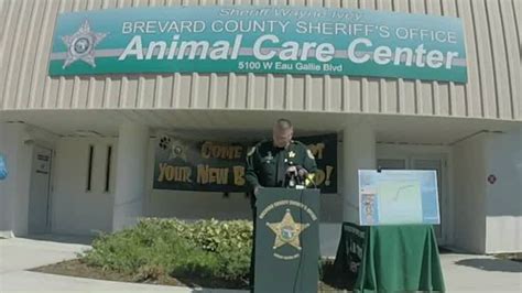 Back in 2014, the sheriff’s office took over the Brevard County Animal Shelter and within 18 months, they turned it into a no-kill shelter. The animal survival rate went from 55% to over 90%.