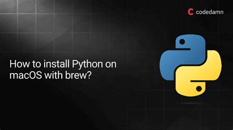 Brew install python.  If you’re looking to get started with Python on your Mac, you’ve . 11 b...