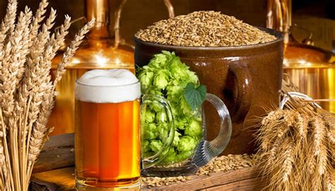 Brewing beer. The Beer Brewing Process Explained; June 18, 2020 Top 20: The Best California Breweries for 2020; March 19, 2020 Wine-Making vs. Beer Brewing: Basic Similarities and Underlying Differences; January 24, 2020 Know Your Yeasts: The Types Of Yeasts Used To Brew Beer; August 12, 2020 How to Make Plum Wine; 