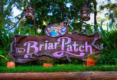Briar patch forum. Things To Know About Briar patch forum. 
