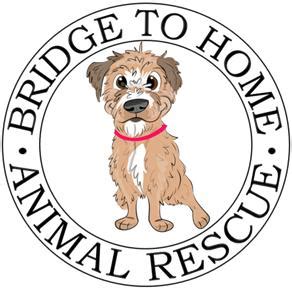 Bridge to home animal rescue. Hi! I'm Odie. I'm a 5 yr old 10 lb male Shih Tzu that loves belly rubs for days, soft beds, and my human's lap. I'm crate trained, mostly house... 
