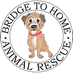 Bridge to Home Animal Rescue, Eighty Four, PA.