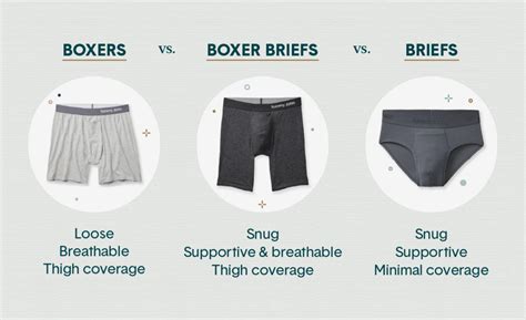 Briefs vs boxers. Mar 1, 2023 · Comfort should always come first! The most important thing is finding underwear that's comfortable and fits your body. Boxer shorts usually have more room, while briefs provide better support and coverage. So if comfort is key, think about what you appreciate most — room and breathability vs. support and coverage. 