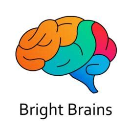 Bright Brains Academy APK Download for Android 