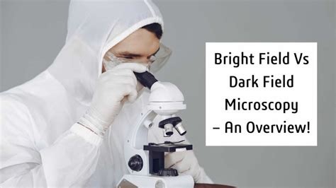 Bright Field in Vision vs. Dark Field - lhtech.com