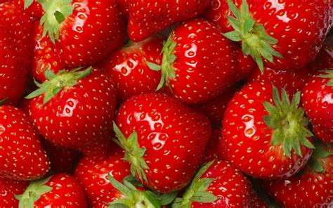 Read Bright Red Fruit