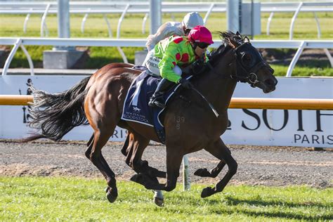 Bright filly gives Pitman family a lift Stuff.co.nz