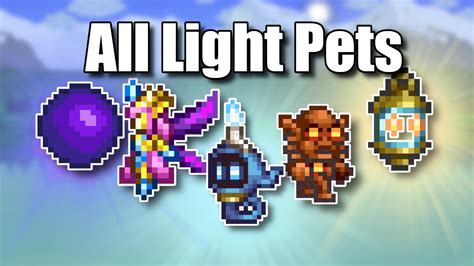 Brightest light pet terraria. Pets are creatures that follow the player around. They are completely invincible and have no set duration. When summoned, they will give the player a buff with the same name as the pet. A pet will follow the player until they die, summon a different pet, leave the world, or cancel the associated buff. On &#160;Desktop version,&#32;&#160;Console version, and&#32;&#160;Mobile version, the ... 