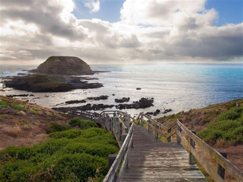 Brighton Beach to Phillip Island - 8 ways to travel via ... - Rome2rio