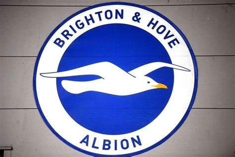 Brighton player arrested on suspicion of sexual assault