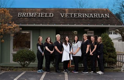 Brimfield vet. Brimfield Veterinary Services, Kent, Ohio. 1,609 likes · 16 talking about this · 256 were here. We are a full-service, walk-in … 
