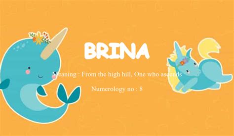 Brina Name Meaning - Origin, Religion of Baby Girl Name Brina