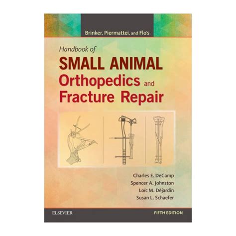 Brinker piermattei and flos handbook of small animal orthopedics and fracture repair elsevier ebook on intel. - Computer security principles practice solution manual.