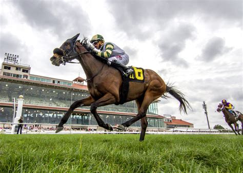 Free horse racing past performances are widely