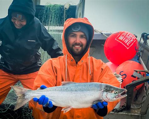 Bristol Bay Salmon Prices 2022