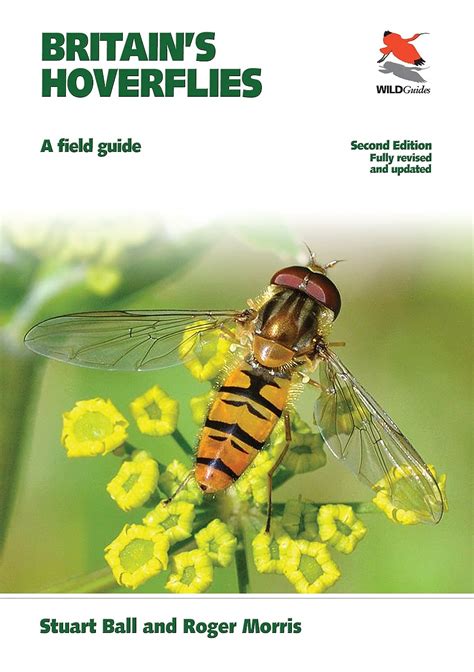 Britain s hoverflies a field guide a field guide roger morris. - Philips pm3217 pm3217u oscilloscope repair manual.