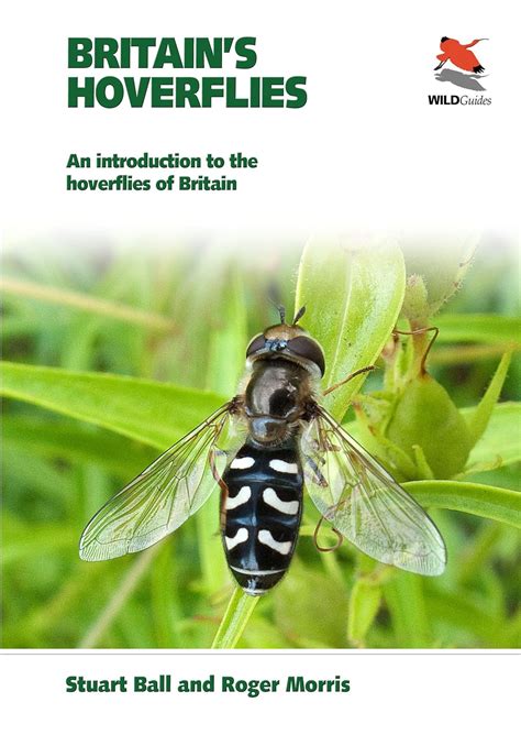 Britains hoverflies an introduction to the hoverflies of britain wildguides. - Hvis noen forteller om mobbing.