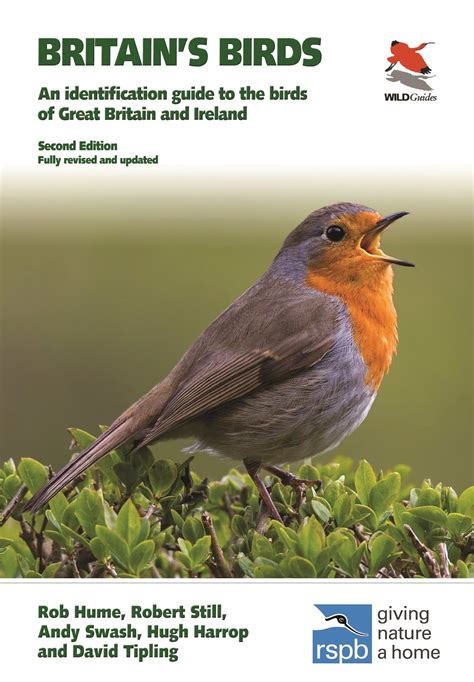 British birds identification guide identification guides. - Kymco super 9 50 roller reparaturanleitung alle modelle abgedeckt.
