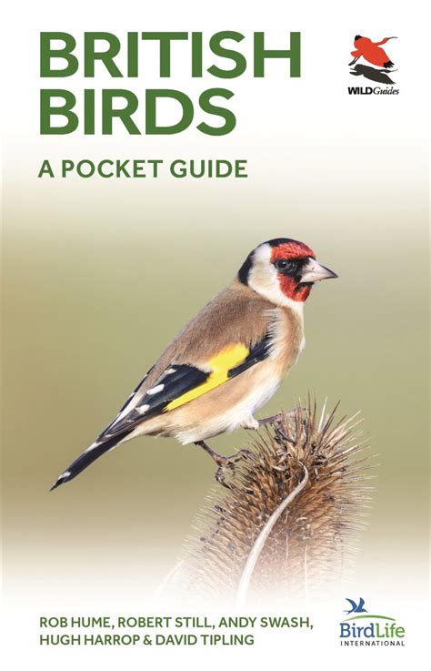 British birds the pocket guide to. - Manuale del carburatore weber, inclusi zenith stromberg e su carburatori haynes manuali di riparazione.