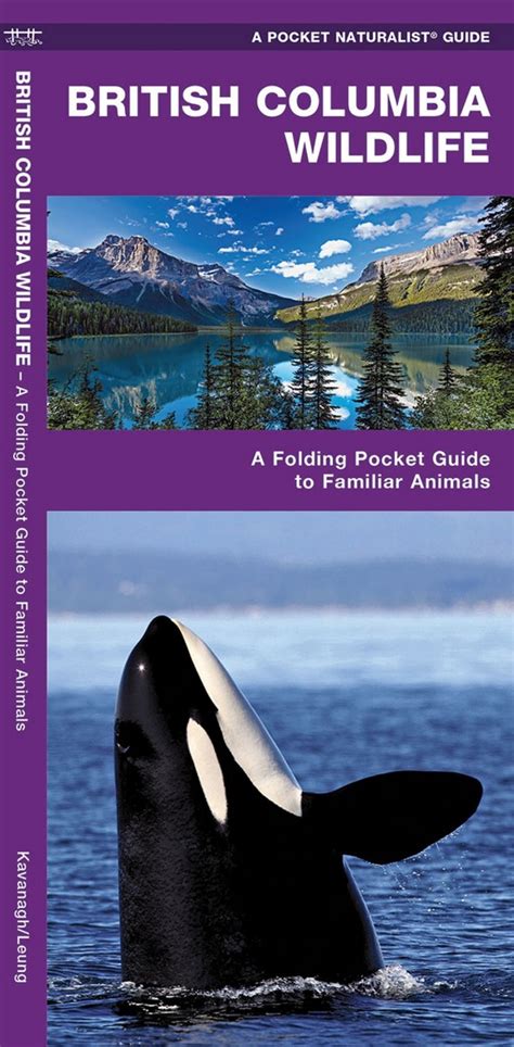 British columbia wildlife pocket naturalist guide series. - Slangman guide to street speak 2 book the complete course in american slang and idioms.