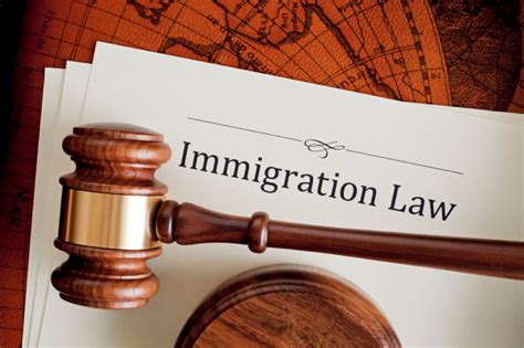 British immigration law a simple guide. - The handymans guide essential woodworking tools and techniques.