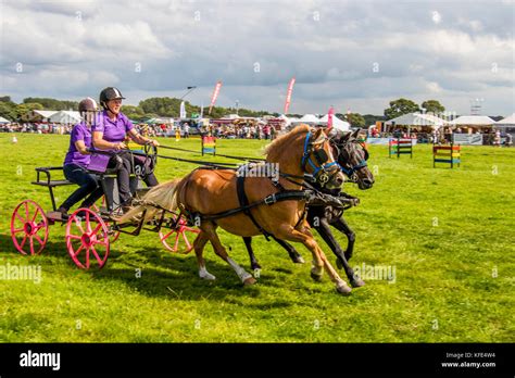 British scurry trials driving Stock Photos and Images