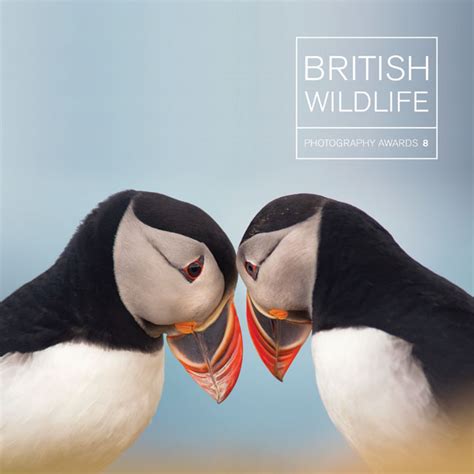 British wildlife photography awards collection 01. - 105926921 cmos handbuch für digitale integrierte schaltkreise 1 26274.