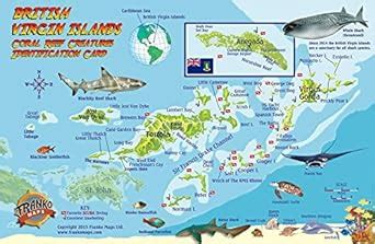 Read Online British Virgin Islands Dive Map  Coral Reef Creatures Guide Franko Maps Bvi Laminated Fish Card By Not A Book